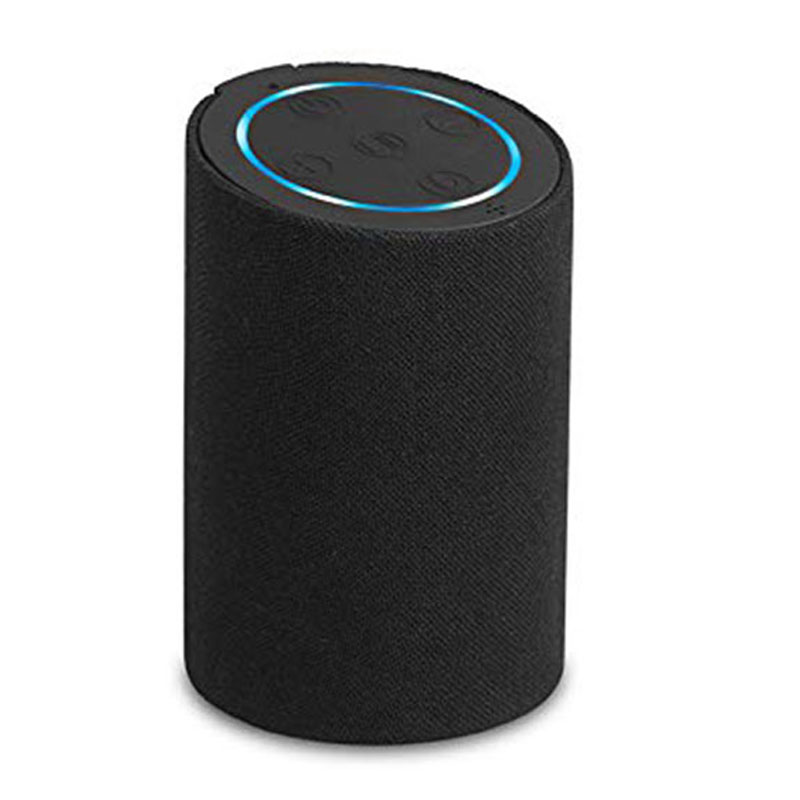 Voice Assist Speaker