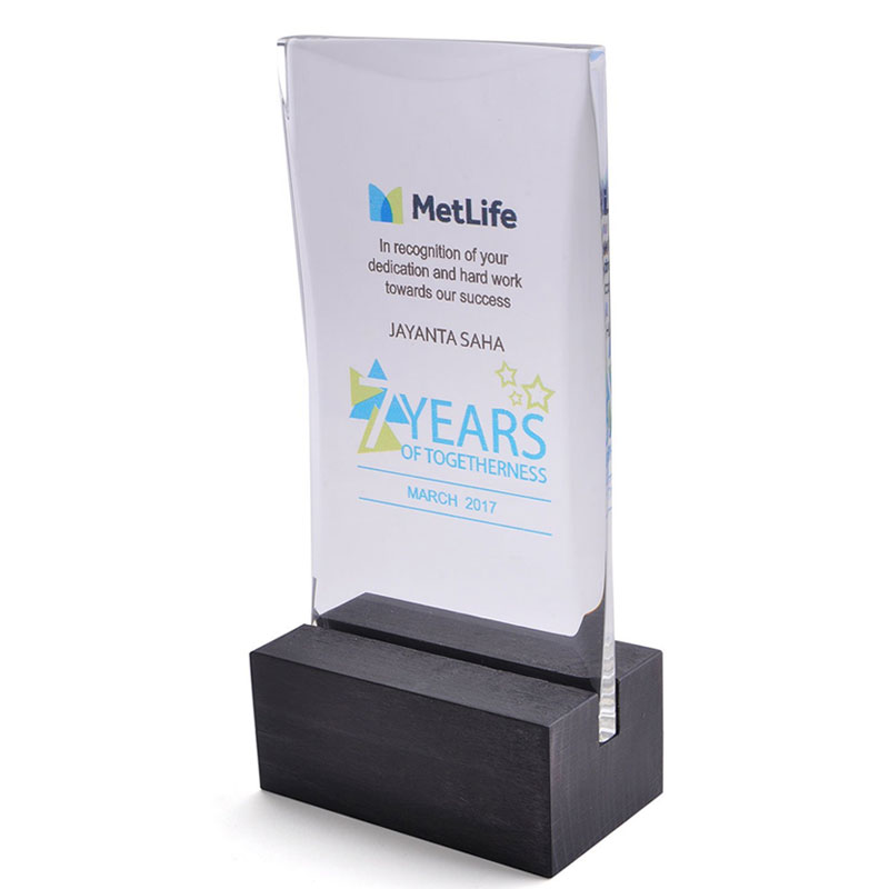 Metlife Acrylic Trophy