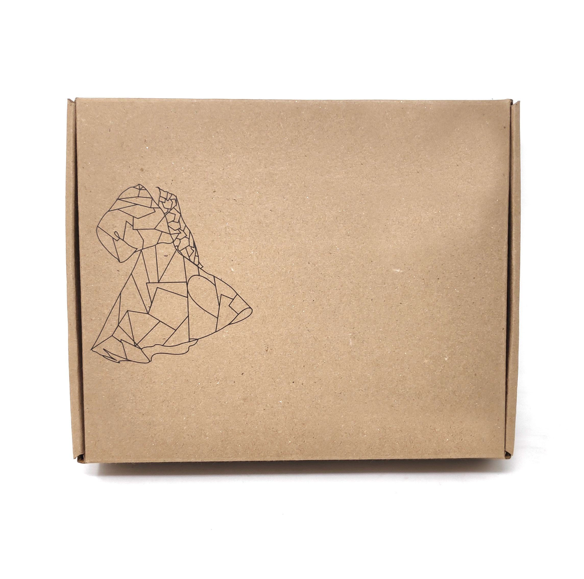 Eco Friendly Mailer Box