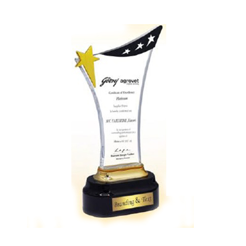 Rich Gold Acrylic Trophy