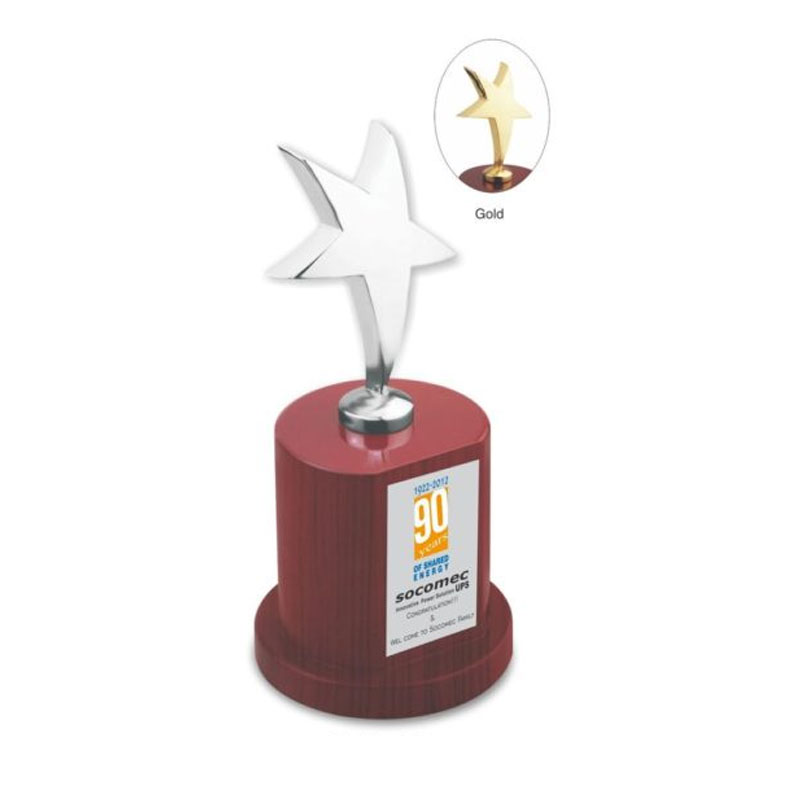 Gold Star With Wooden Base - Corporate Gifting | BrandSTIK