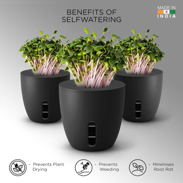 Terra Self Watering Planter