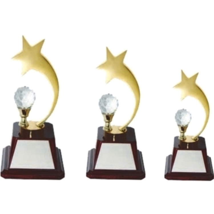 Exclusive Star Trophy