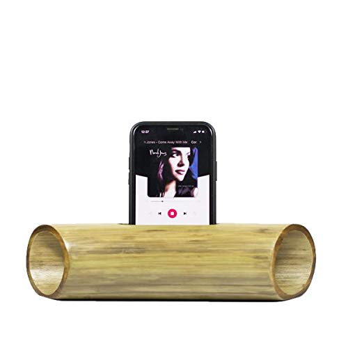 Acoustic Bamboo Amplifier