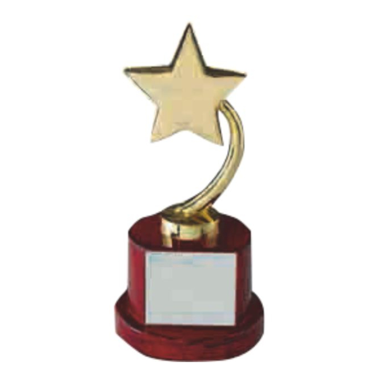 Gold Star Trophy