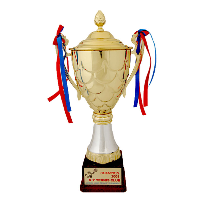 House Cup Trophy