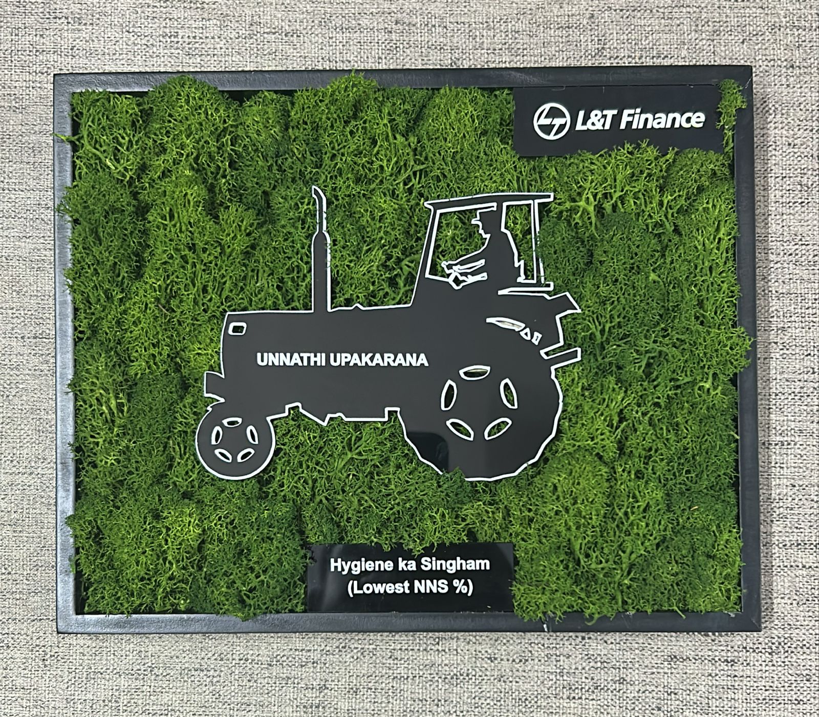 Icelandic Moss Frame
