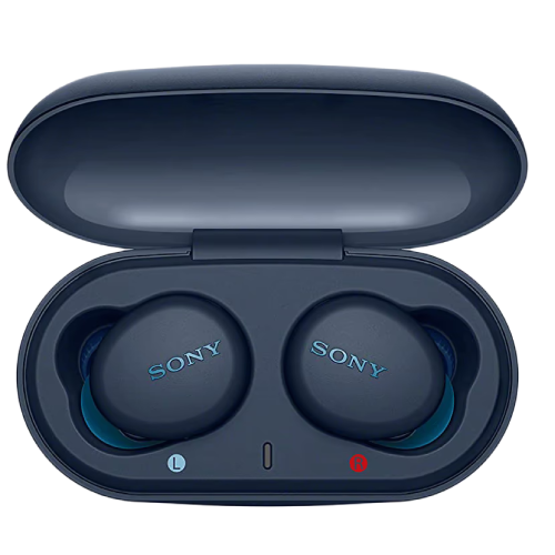 Sony WF-XB700 Bluetooth Truly Wireless in Ear Earbuds
