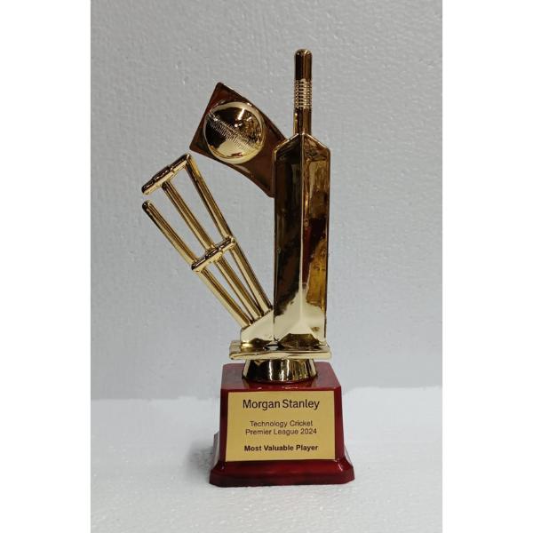 Customized Cricket Trophy 