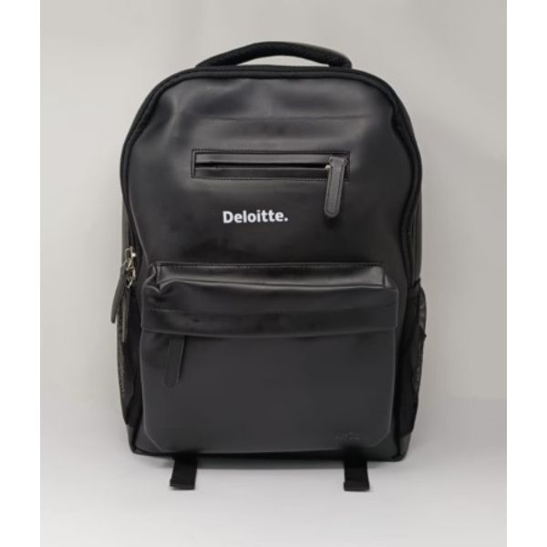 Stunning Bag for Delloite