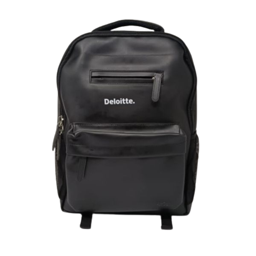 Stunning Bag for Delloite