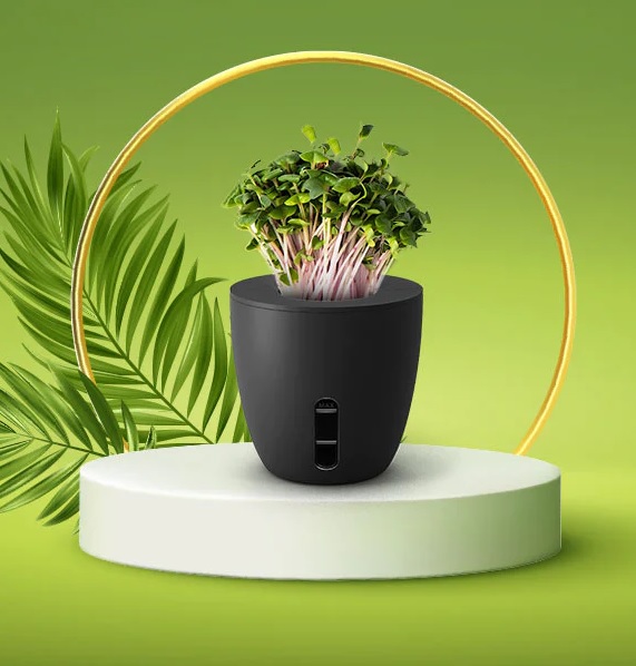 Self Watering Plant Pot