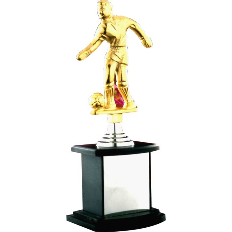 Sports Trophy