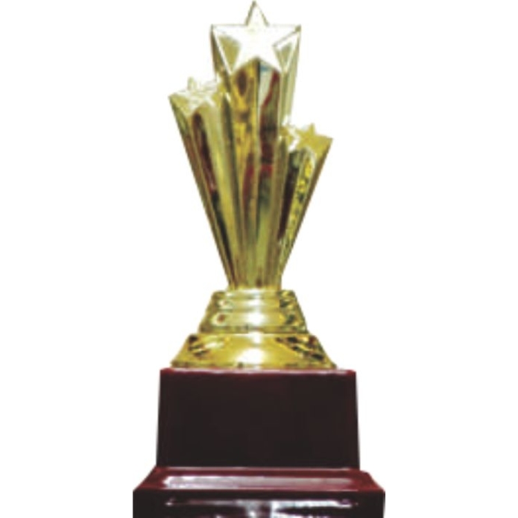 Star Metal Trophy