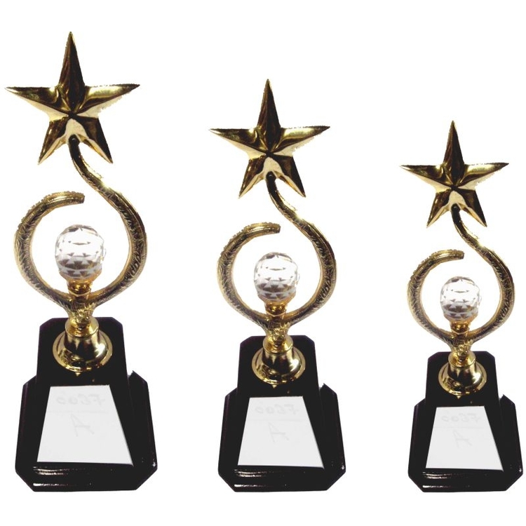 Star Shape Metal Awards