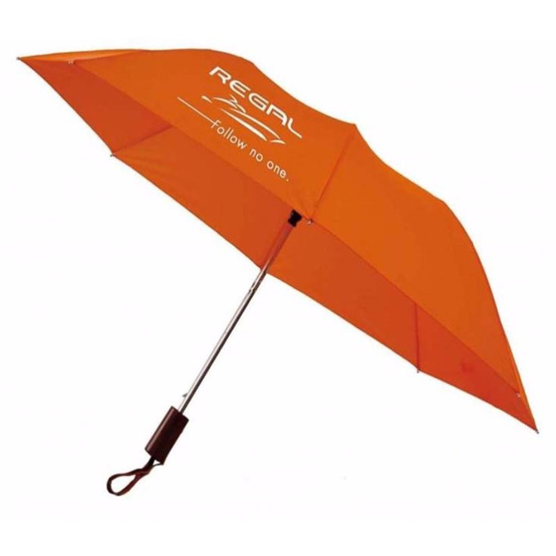 Two Fold Auto Open Umbrella