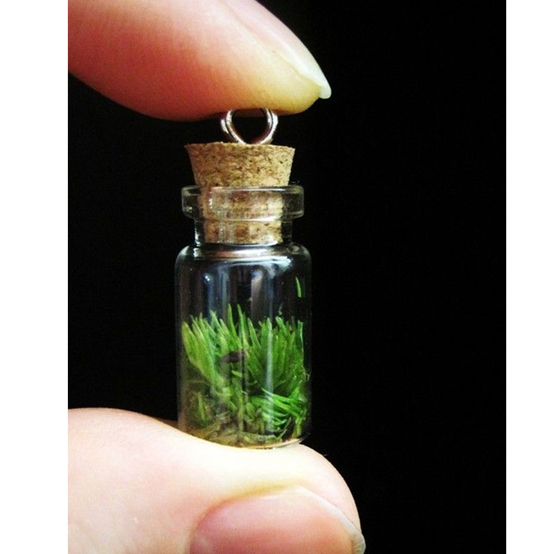 Wearable Terrariums