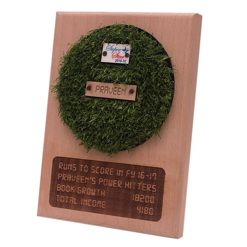 Cricket Themed Plaque