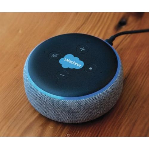 Echo Dot with Custom Logo