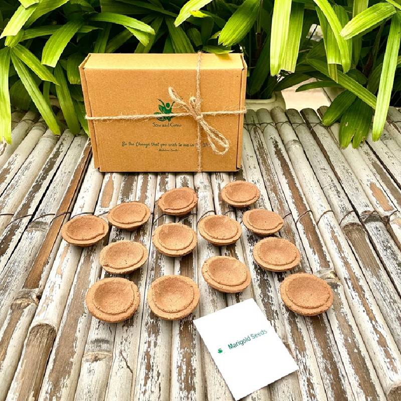 Organic Cow Dung Diyas- Set of 24 with a pack of Marigold Seeds
