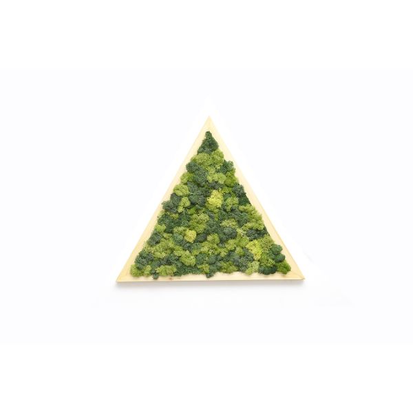  Wall TRIANGLE SMALL Moss 